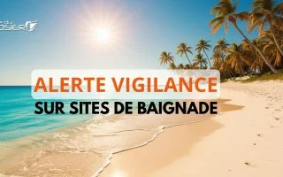 Précaution sanitaire : baignade déconseillée sur les plages du Gosier à compter de ce 9 octobre 2026