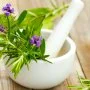 Conférence Santé & Plantes Médicinales avec l'AJSF