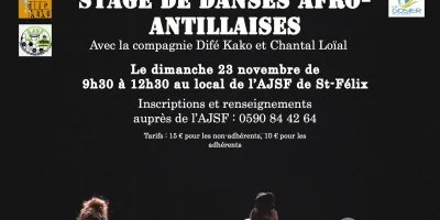 STAGE DE DANSES AFRO-ANTILLAISES