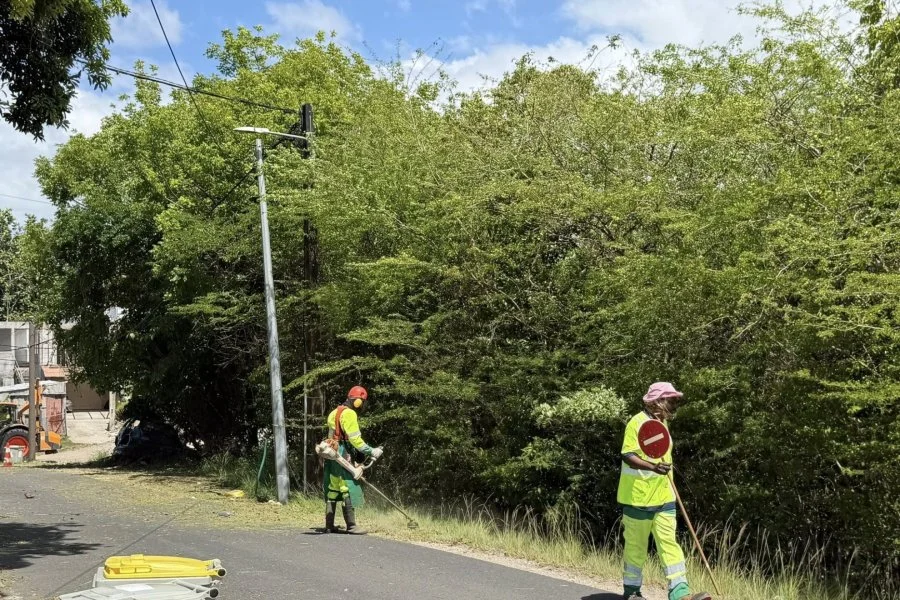 Travaux réguliers des services de proximité