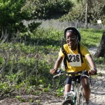 Photo 43