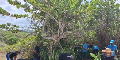 Une action collective au service de la préservation de l'îlet du Gosier