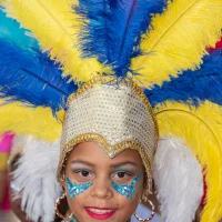 Photo 350