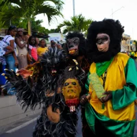 Photo 45