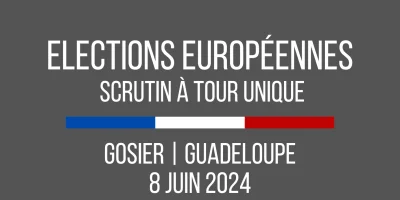 Elections européennes du 8 juin 2024