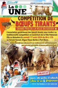 Compétition de boeufs tirants : Grand Prix de la Ville du Gosier