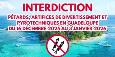 Interdiction de vente, de d&eacute;tention et d'utilisation de p&eacute;tards, d'artifices de divertissement et pyrotechniques