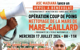 Opération coup de poing “Nettoyage de la mare de Mare-Gaillard" 
