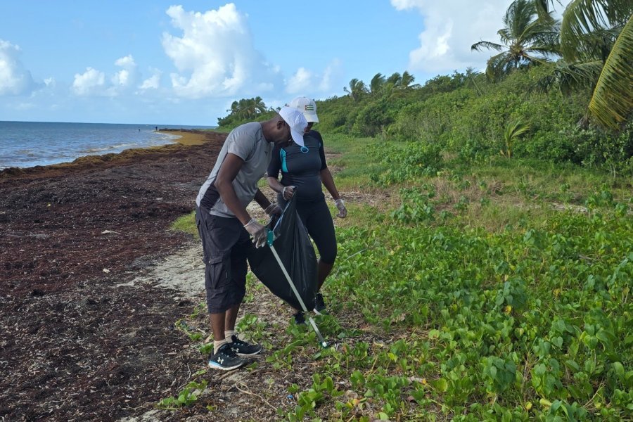 Clean ton quartier : une opération environnementale pour nettoyer la plage des Salines