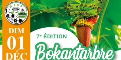 Bokantarbre, 7ème édition