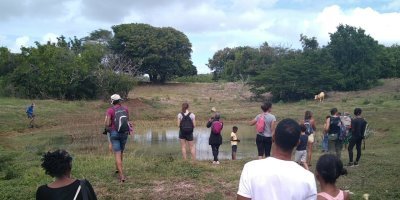 3 séances d'inventaires participatifs pour l'Atlas de la Biodiversité Communale