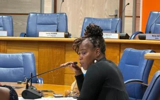 Réunions préparatoires des conseils de quartier n°1 et 2 