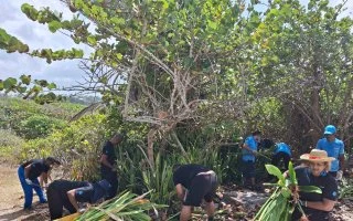 Une action collective au service de la préservation de l'îlet du Gosier