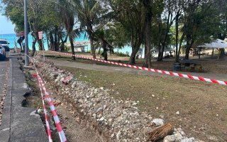 Travaux réguliers de proximité