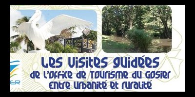 Visite guidée du Gosier : Entre urbanité et ruralité