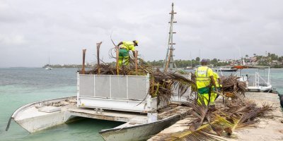Grande opération de ramassage des déchets verts à l'ilet du Gosier
