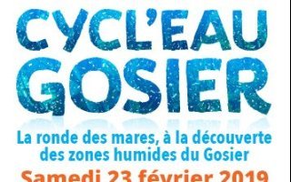 Cycl'eau Gosier, à la découverte des zones humides du Gosier en randonnée VTT