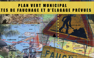 Planning de fauchage et d'élagage sur le territoire communal