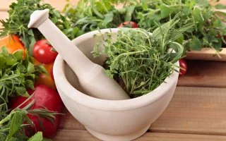 Les plantes médicinales en débat avec Mieux vivre à Mathurin