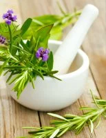 Conférence Santé & Plantes Médicinales avec l'AJSF