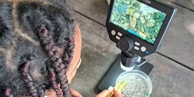 Stages d'éveil marin et artistique 