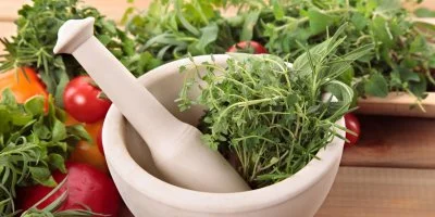 Les plantes médicinales en débat avec Mieux vivre à Mathurin