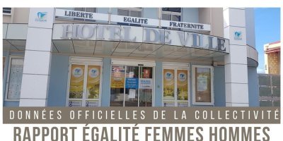 Rapport Egalité Femmes - Hommes