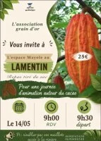 Journée d'animations autour du cacao au Lamentin