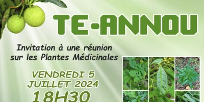 Tè annou : Réunion sur les plantes médicinales