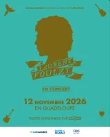 Concert Laurent Voulzy