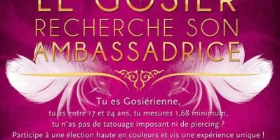 COMMUNIQUÉ DE PRESSE : Appel à candidatures pour l'élection de MISS GOSIER 2013