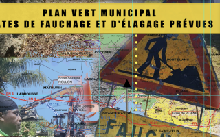 Plan vert municipal dates de fauchage et d'élagage prévues 
