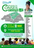 Réunion du Conseil de quartier n° 2 à Port-Blanc