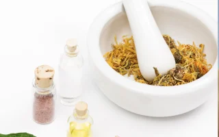 Conférence débat & Plantes Médicinales avec L'as Grain d'or