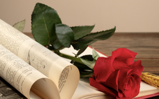 D&eacute;ambulation po&eacute;tique : le printemps des po&egrave;tes Hommage &agrave; Max Rippon