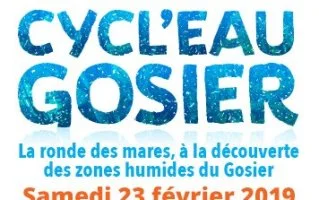Cycl'eau Gosier, à la découverte des zones humides du Gosier en randonnée VTT