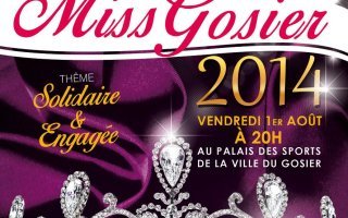 Election de Miss Gosier 2014 ... Qui succédera à Morgane Thérésine ?
