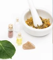 Conférence débat & Plantes Médicinales avec