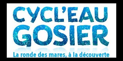 Cycl'eau Gosier, à la découverte des zones humides du Gosier en randonnée VTT