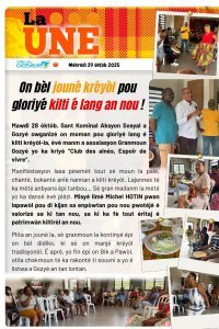 On bèl jouné kréyòl pou gloriyé kilti é lang an nou !