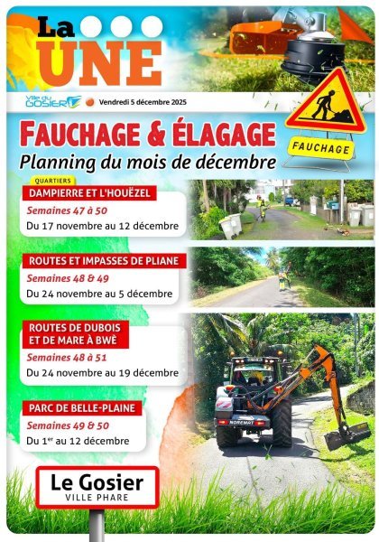 Fachage & élagage planning du mois de décembre 