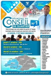 Réunions des conseil de quartier N°1