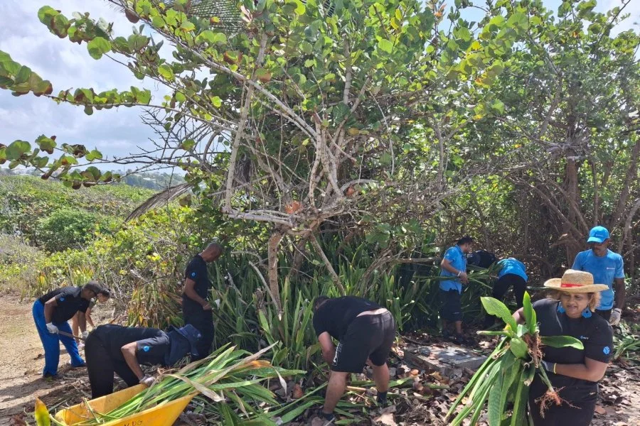 Une action collective au service de la préservation de l'îlet du Gosier